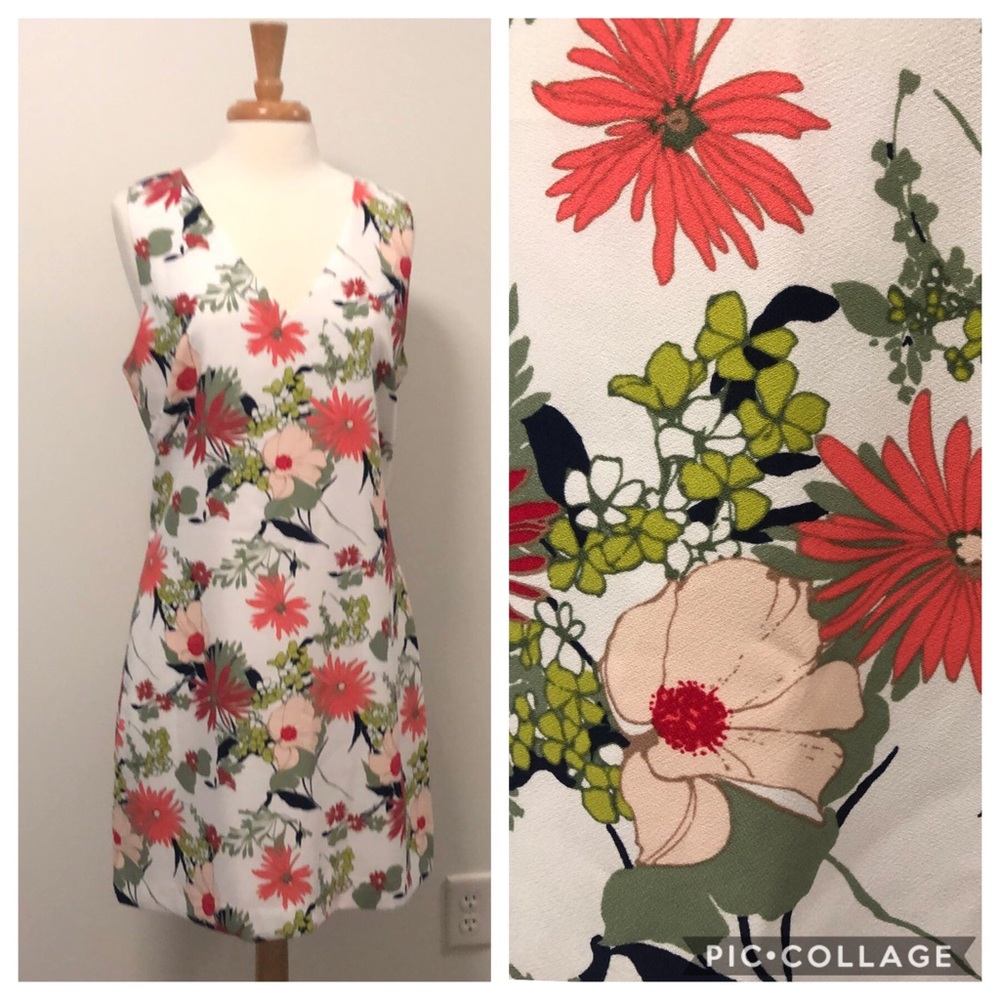 Banana Republic Floral Sleeveless Dress